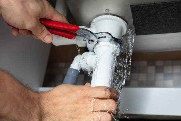 Best Flooded house restoration  in Coalfield, TN
