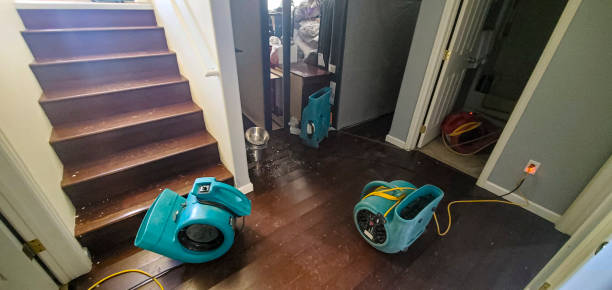 Best Sewage cleanup and water damage restoration  in Coalfield, TN