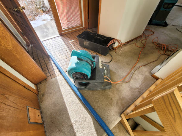 Best Water damage restoration near me  in Coalfield, TN