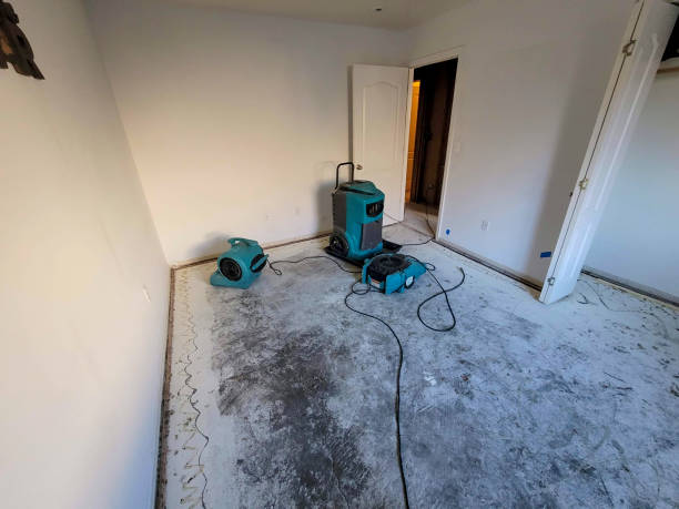 Best Water damage restoration near me  in Coalfield, TN