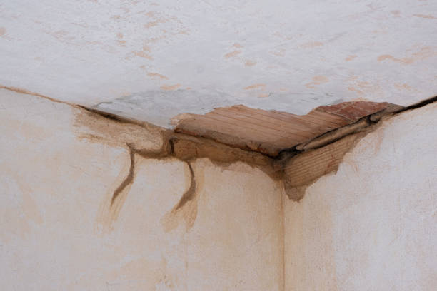 Best Water damage restoration process  in Coalfield, TN