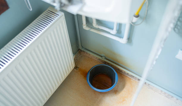 Best Water damage contractors near me  in Coalfield, TN