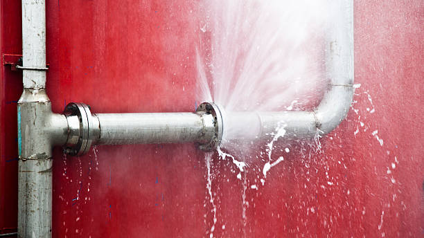 Best 24/7 water damage repair  in Coalfield, TN